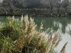 -中国湿地博物馆