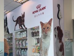-瑞派申生动物医院·24H夜诊·国际动物医疗中心·骨外科(吴中路店)