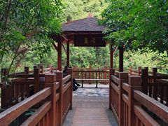 -广州白江湖森林公园