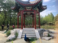 -北京麋鹿生态实验中心
