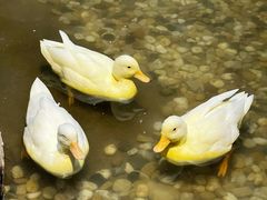 -苏州海洋馆
