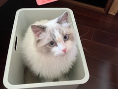 -爱侣宠医·鹦鹉专科·小型哺乳类·异宠专科(灵石路店)