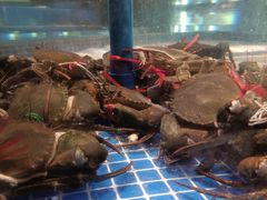 -海立阁海鲜江浙菜(漕河泾印象城店)