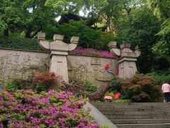 -吴山景区