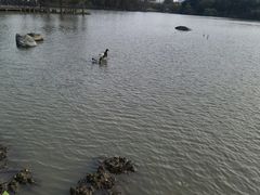 -海珠湖公园