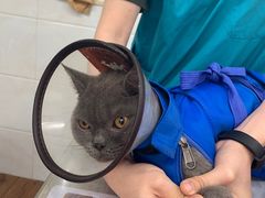 -荔康动物医院(康王北路店)