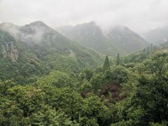 -四明山国家森林公园