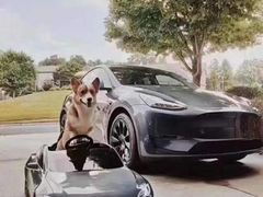 -TESLA 特斯拉(上海太古汇体验店)
