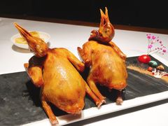 -大鸽饭(岗顶店)