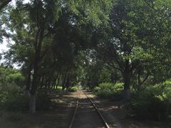 -永定河休闲森林公园