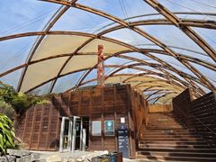 -怀托摩萤火虫洞