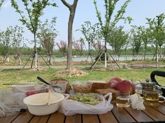 -上海海湾国家森林公园