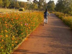 -艾溪湖湿地公园