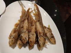 -上海会馆(香港名都店)