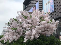 -大洋晶典(东街店)