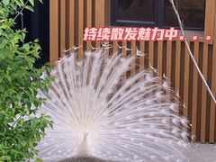 -太原动物园