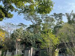 -深圳国际园林花卉博览园