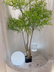 -VE专注问题肌·赛诺龙&科学美肤中心