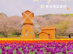-苏州上方山国家森林公园