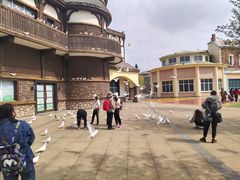 -沈阳方特欢乐世界