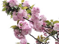 -重庆中央公园(渝北区)