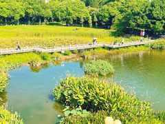 -东山湖公园