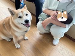 -baby bella小贝拉母婴护理中心(北京东隅店)