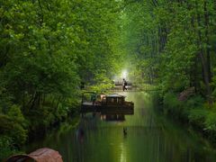 -合肥滨湖国家森林公园