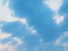 -金海湾滨江公园