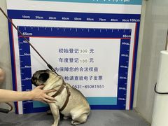 -心仪动物医院·牙专科·肿瘤·心脏科(西客站院)