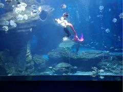 -多彩贵州城极地海洋世界