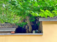-颐和路民国时期公馆风貌区