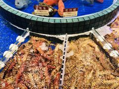 -新海利海鲜城·41年珠海老字号(夏湾店)