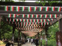 -白马涧龙池景区