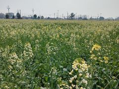 -中国天府农业博览园