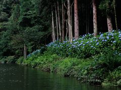 -龙苍沟森林公园