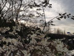 -重庆中央公园(渝北区)