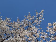 -苏州上方山国家森林公园