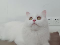 -宠爱我(南山店)