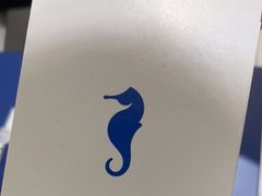 -海马体照相馆(大连罗斯福广场店)