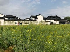 -禾悦庄餐厅