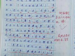 -学知乐教育·幼小衔接·小学科辅导(嘉定镇校区)