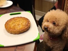 -畜牧兽医站(共江路店)