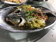 风味蒸皖鱼-石岐乳鸽村(南海第三分店)