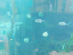 -鸿通城购物中心