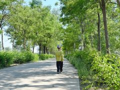 -西青郊野公园