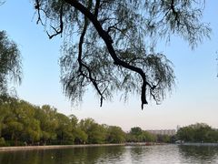 -北陵公园