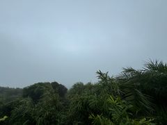 -海南铜鼓岭景区