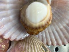 -日照大牌檔•小船海鲜(万平口店)