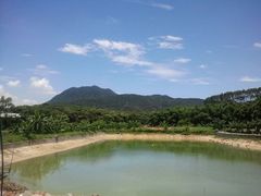 android_upload_pic-大王岭农庄